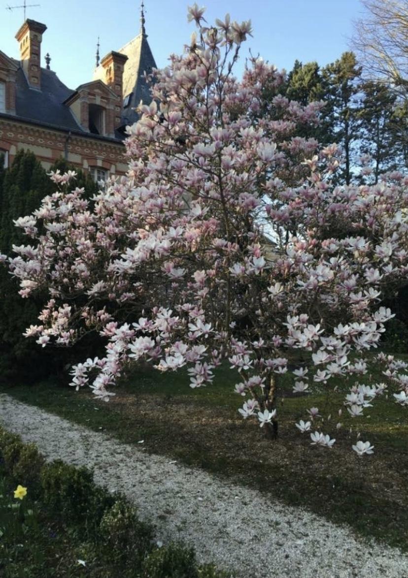 CENTRE DE FONTAINEBLEAU
