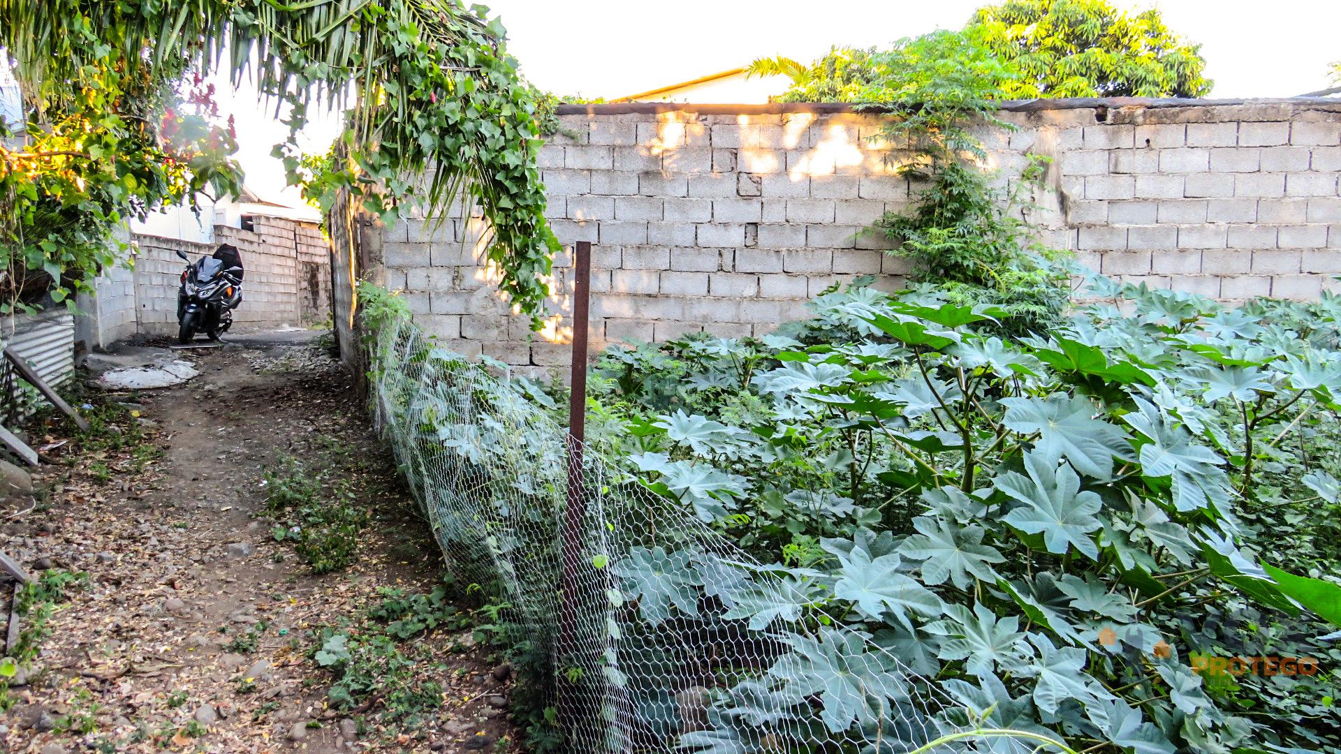 TERRAIN CONSTRUCTIBLE À VENDRE AU CENTRE VILLE DE SAINT LOUIS - PROCÉDURE JUDICIAIRE (RÉUNION)