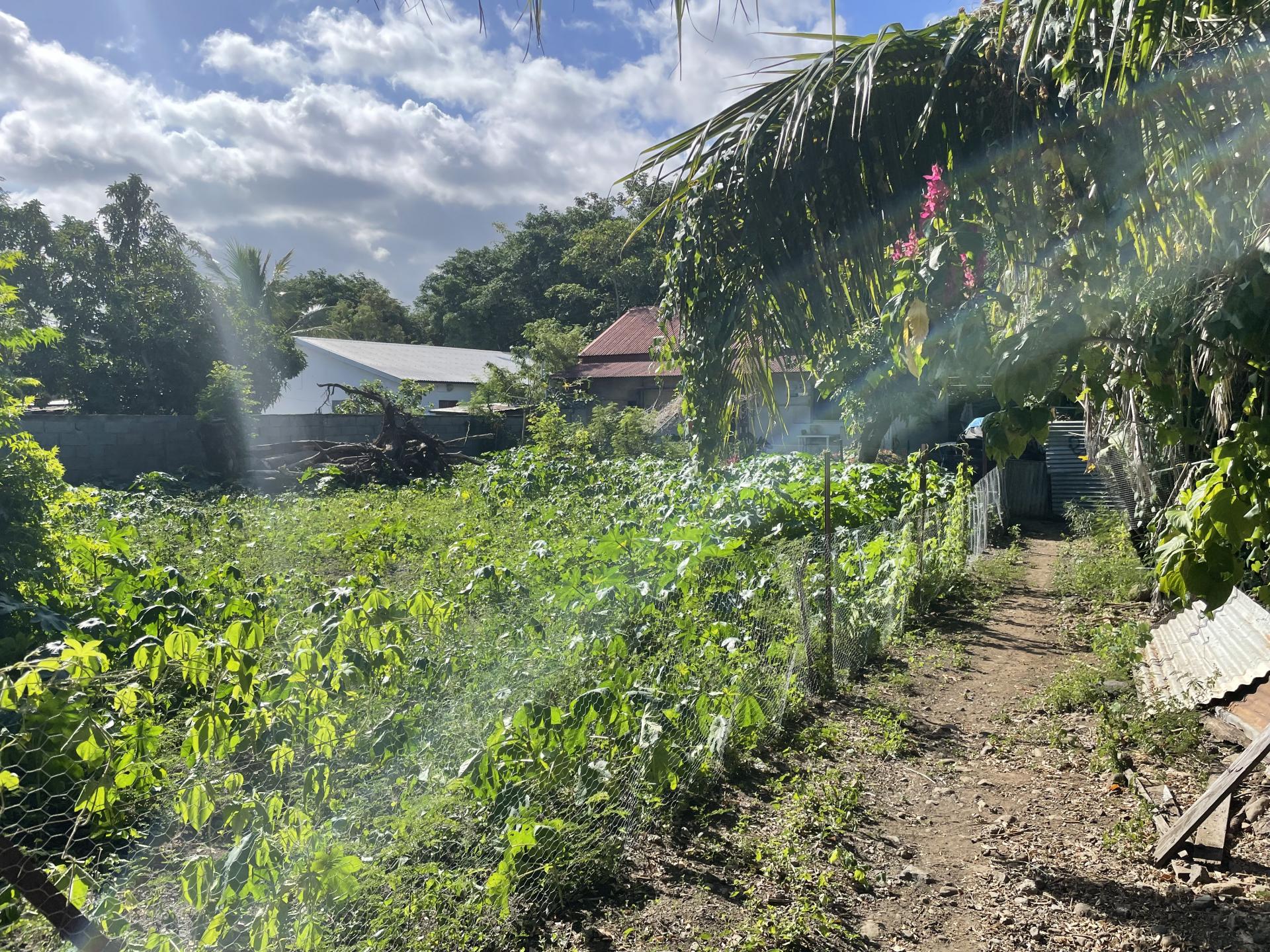 Parcelle de terrain constructible à vendre au centre ville de Saint Louis (Réunion)