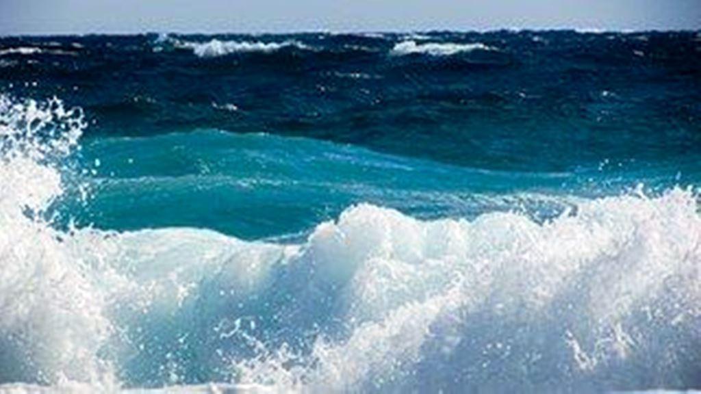 RECHERCHE ACHAT SUR LACANAU - SURF