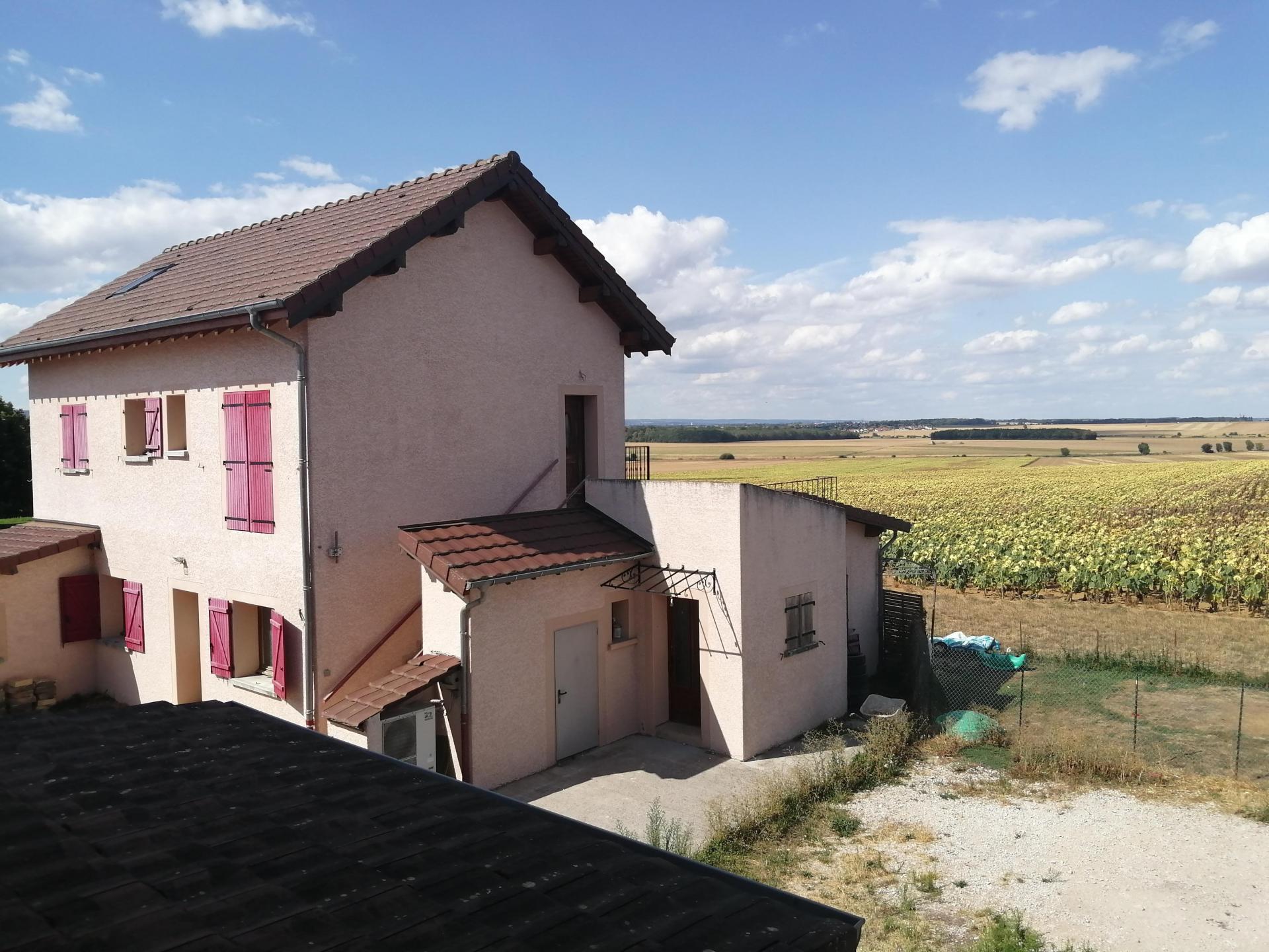 BEL ENSEMBLE IMMOBILIER A 20 MN DE DIJON - IDEAL INVESTISSEMENT LOCATIF 