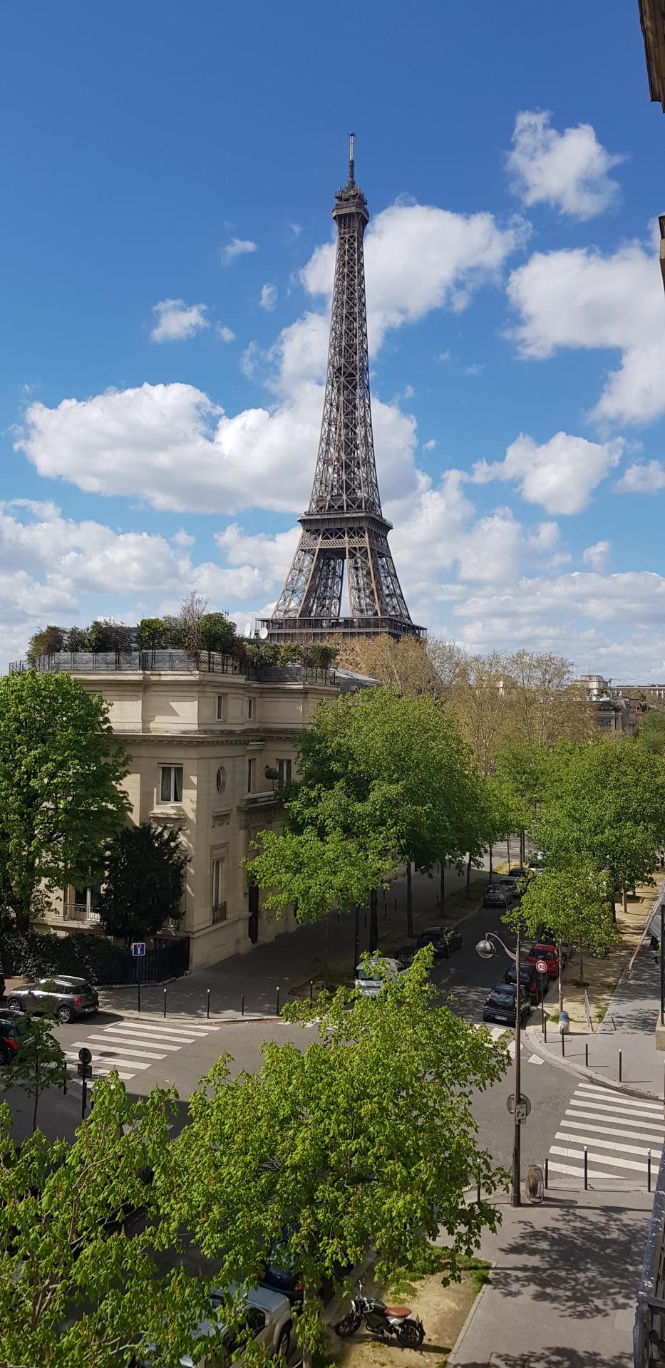 PARIS 7EME - CHAMP-DE-MARS - EMILE DESCHANEL - APPARTEMENT FAMILIAL 246M2 - 4 CHAMBRES