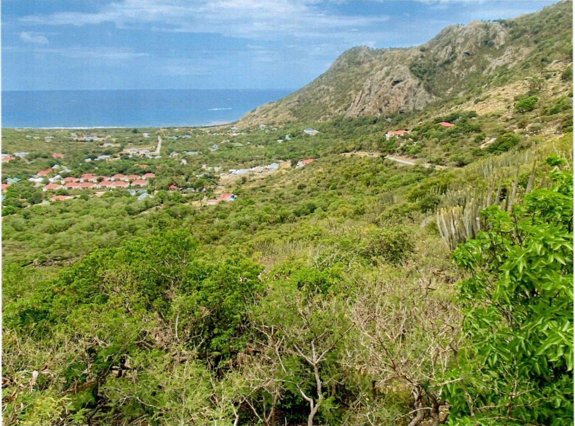 VENTE EN UN SEUL LOT DE 3 PARCELLES DE TERRE A SAINT BARTHELEMY PRIX 8,5 M