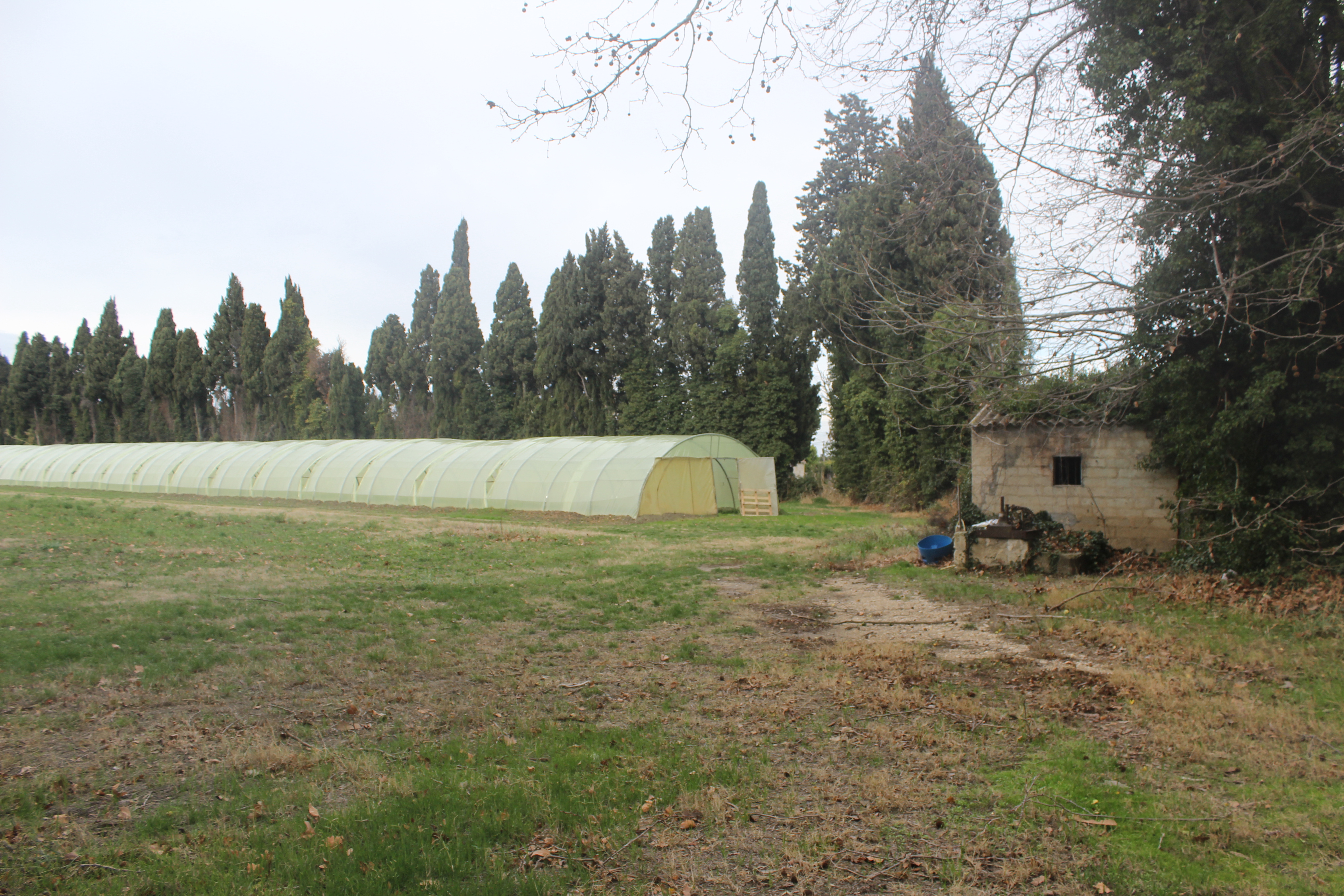 Terrain avec Eaux et Electricité + 2 Serres, 15 000 m2 entouré de maisons ! avec Cabanon. entre Barbentane  et Avignon pour investisseur , situé près d'un axe passant plat