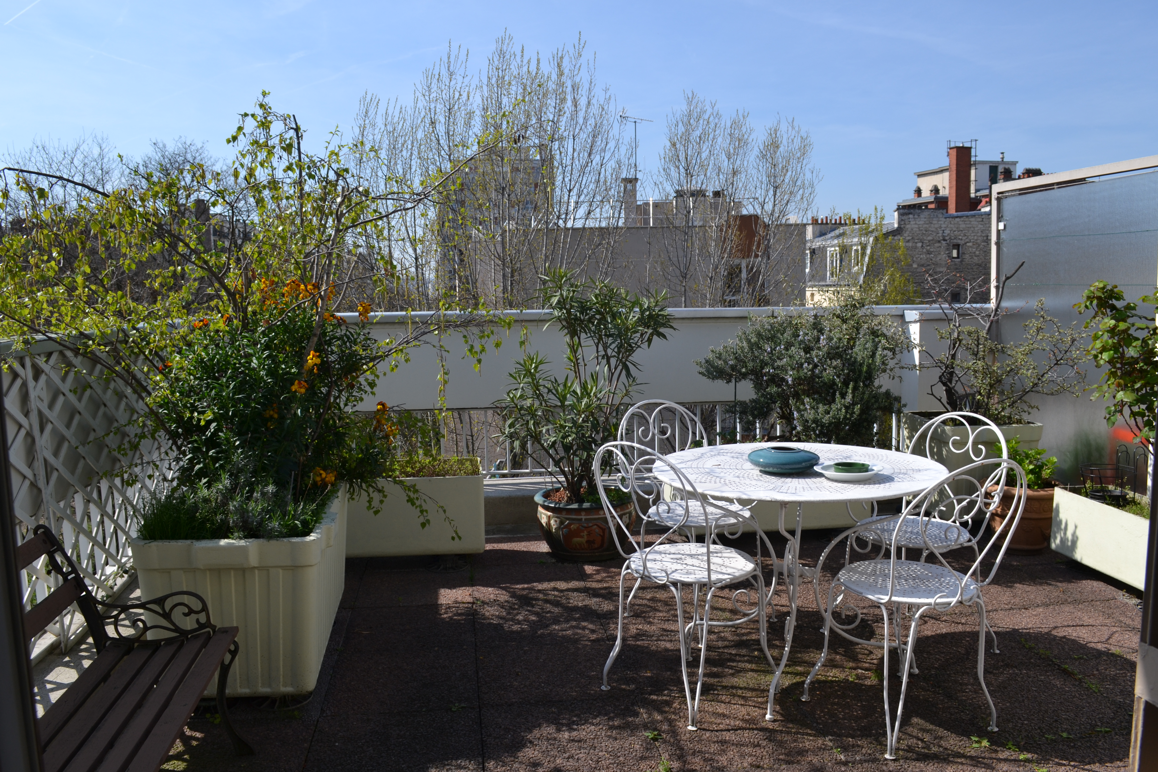 75012 VENTE EN VIAGER - 2 pièces + Terrasse plein sud sans vis à vis AU CALME