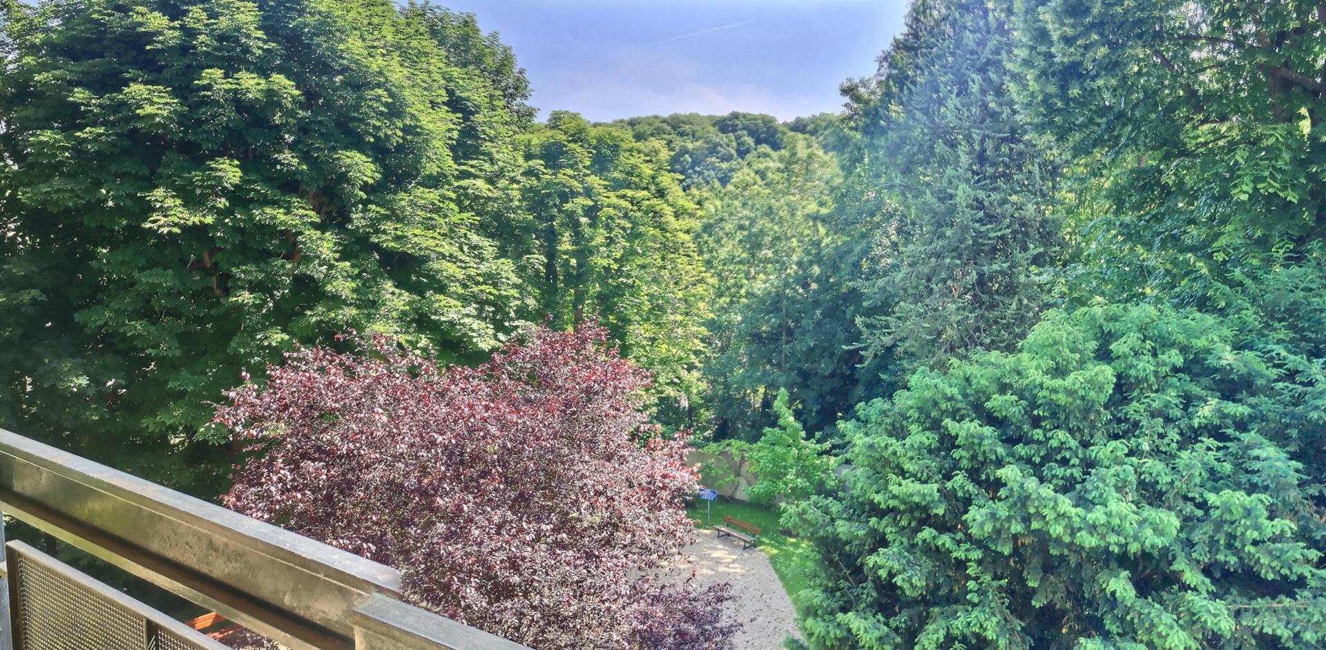 BELLE VUE DEGAGEE SUR VERDURE pour ce 5 pièces 3 chambres avec BALCON. Résidence arborée avec piscine