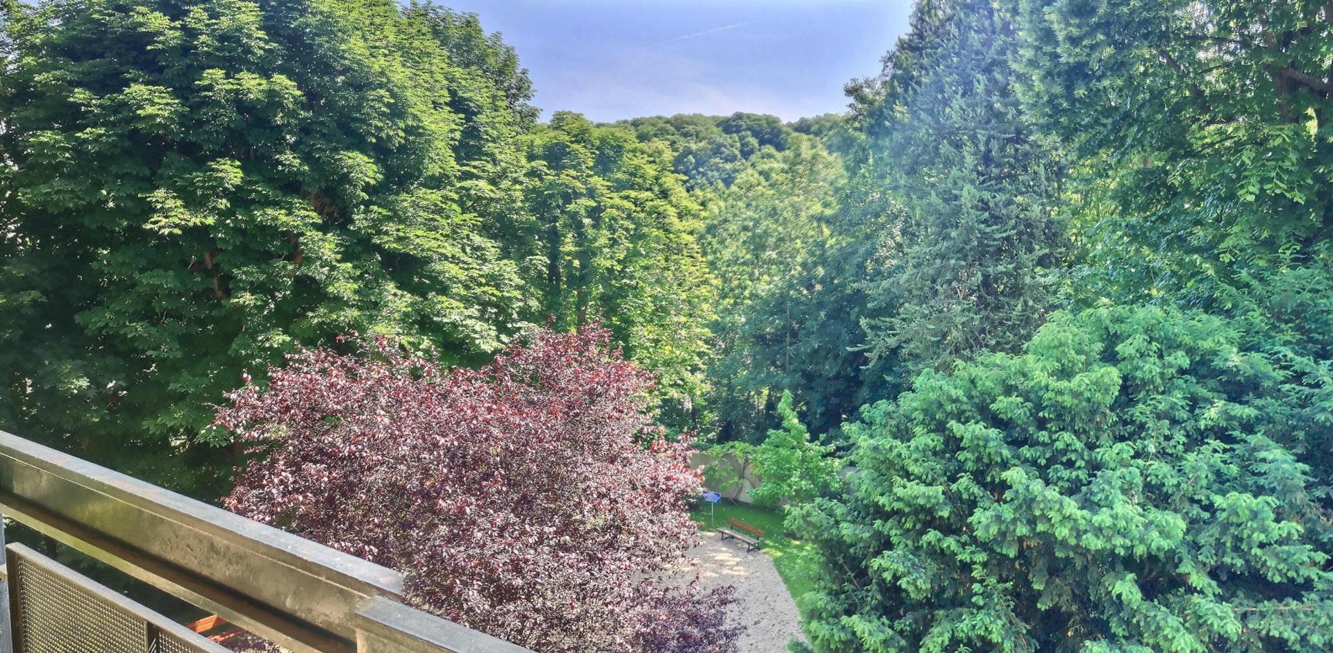 BELLE VUE DEGAGEE SUR VERDURE pour ce  5 pièces 3 chambres avec BALCON. Résidence arborée avec piscine