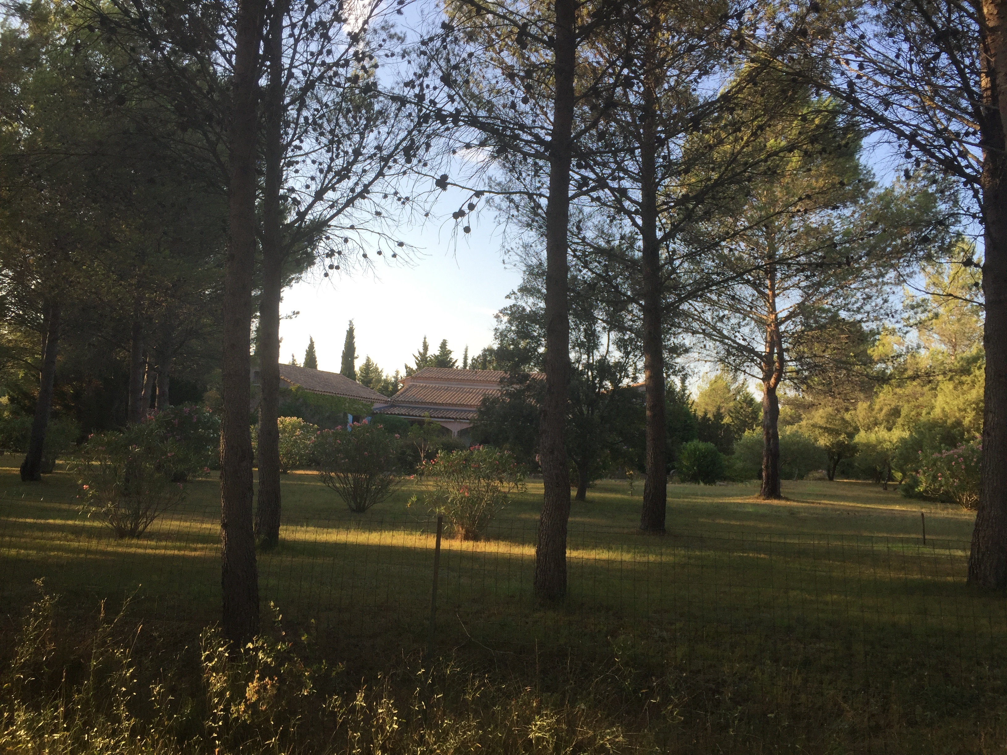 EXCEPTIONNEL AU COEUR DE LA MONTAGNETTE ENTRE AVIGNON ET ARLES
