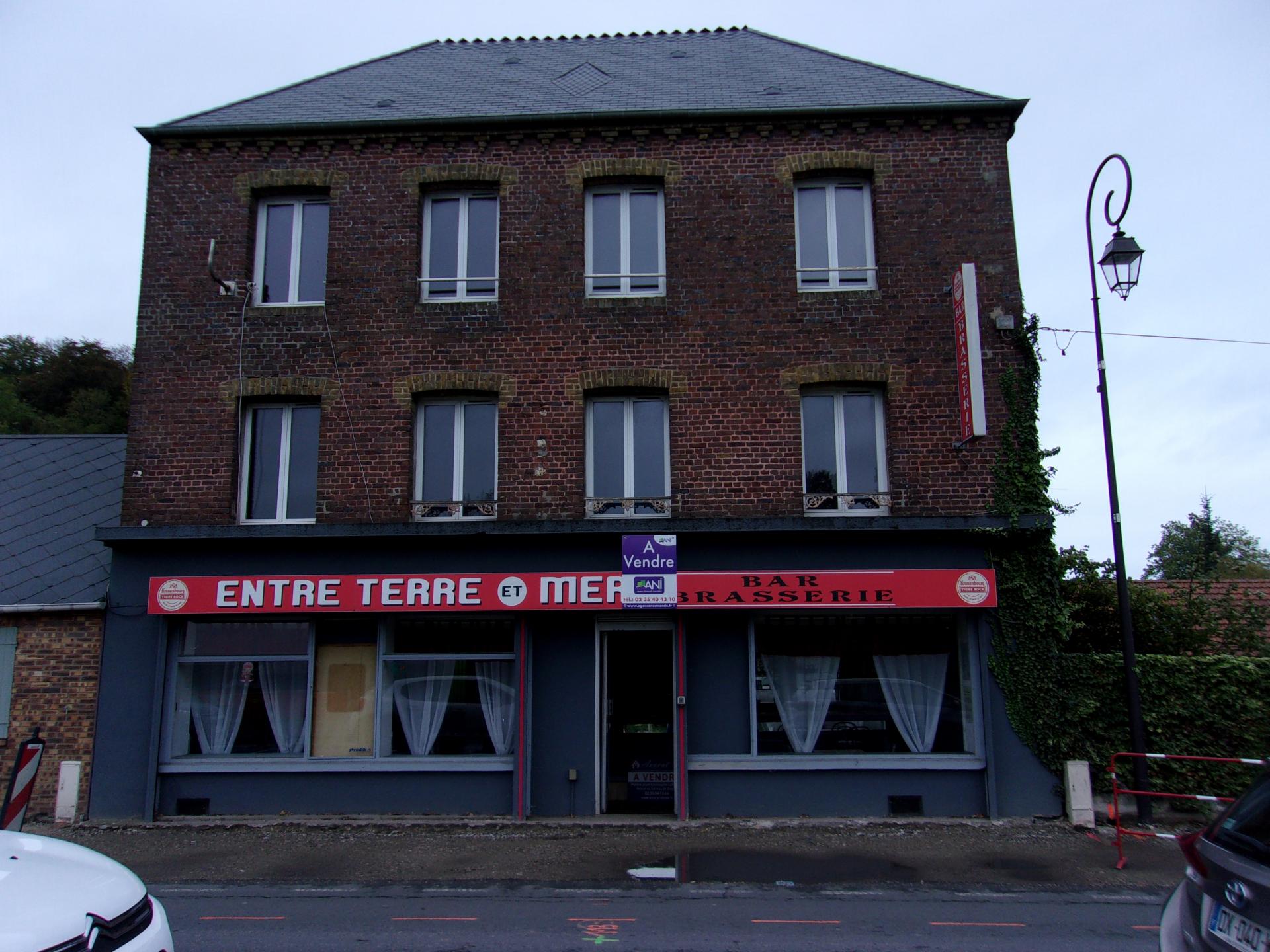 IMMEUBLE en briques