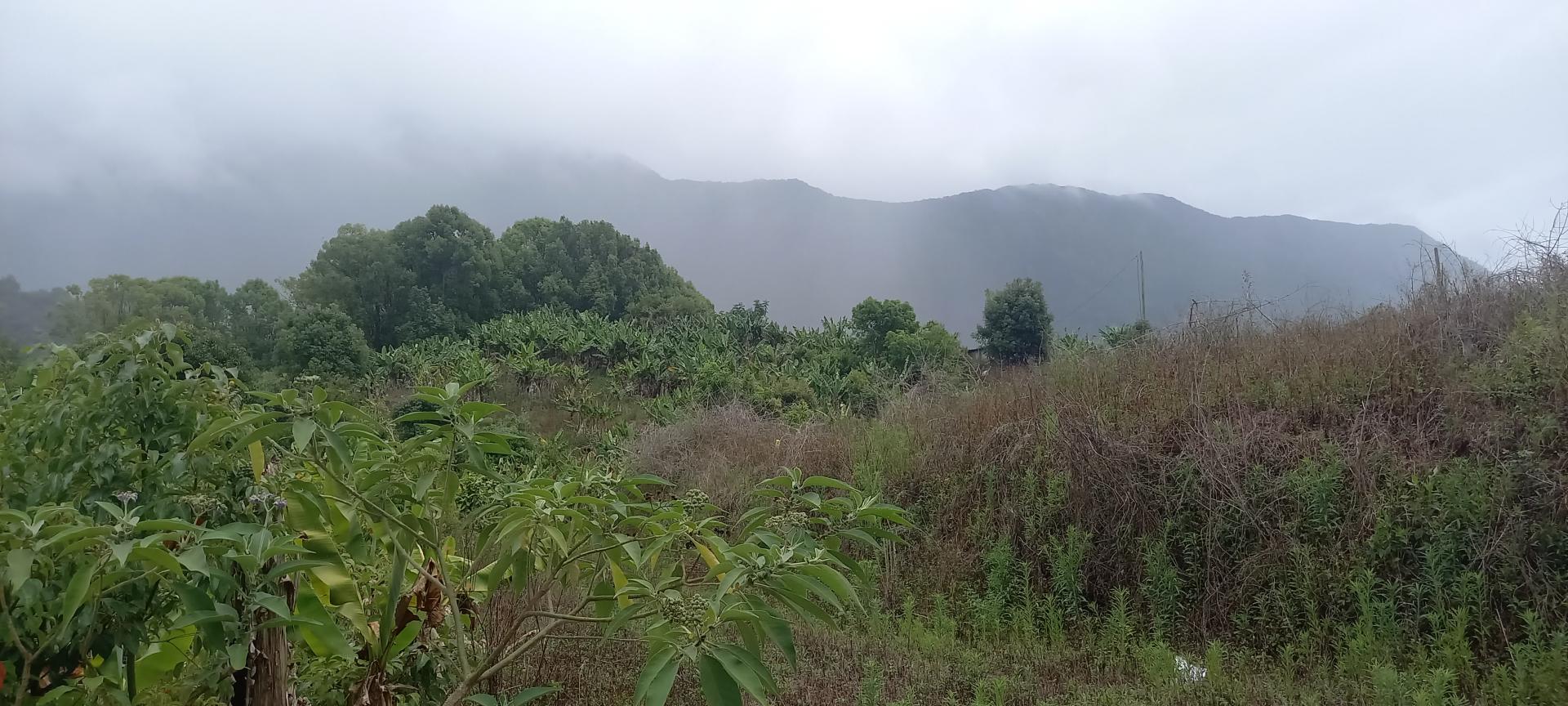 MAGNIFIQUE TERRAIN A SALAZIE