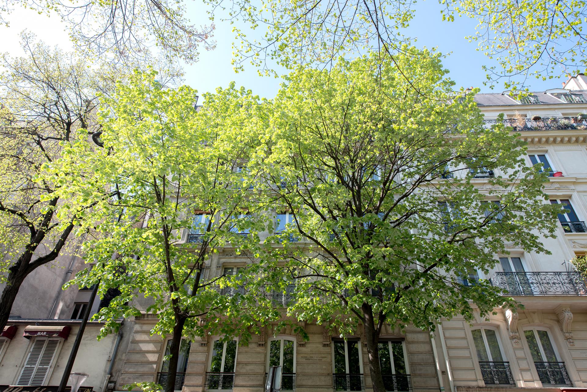 APPARTEMENT// PARIS 18 // RUE CUSTINE 