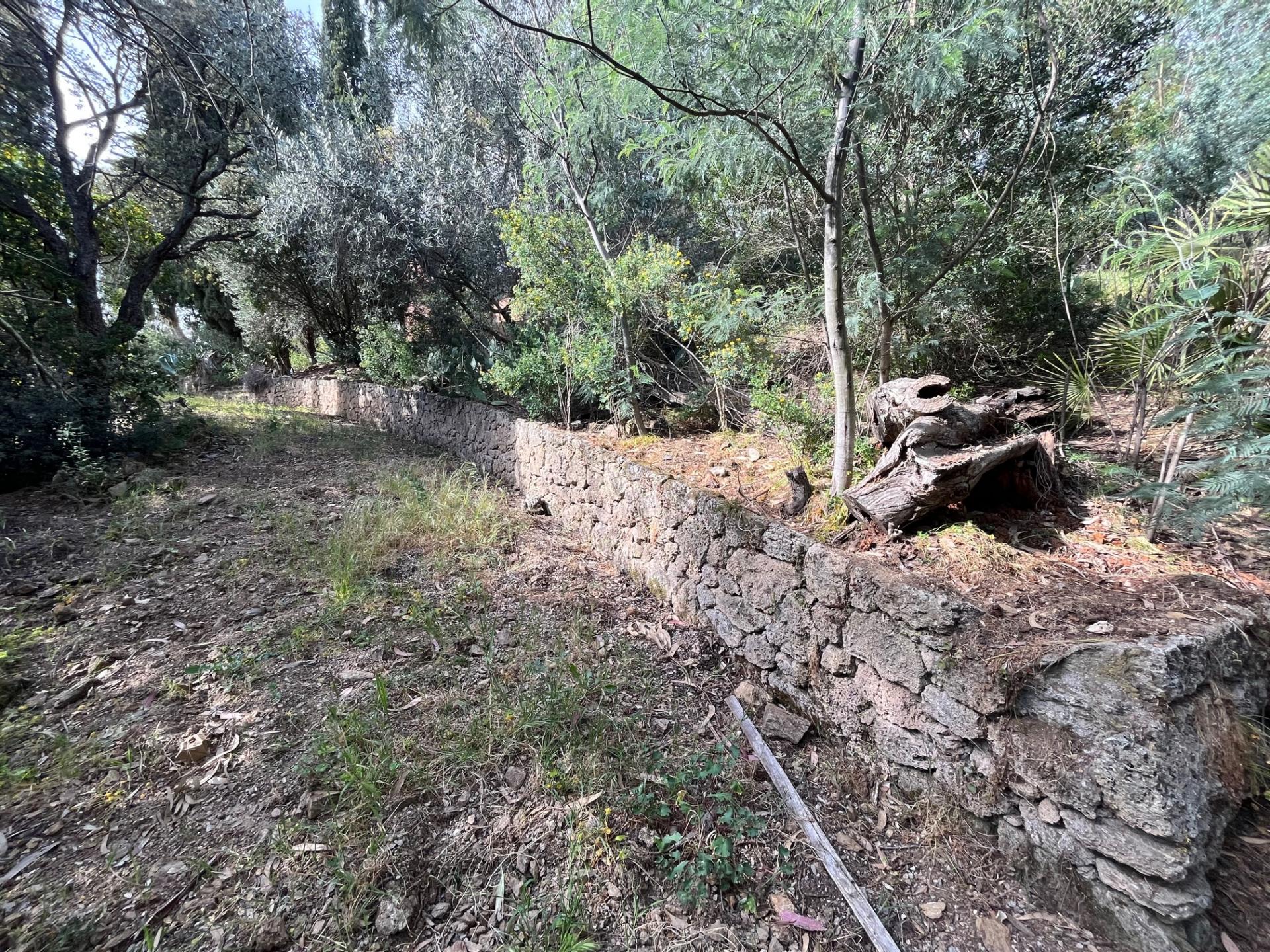 TERRAIN CONSTRUCTIBLE  COTE D 'AZUR  VAR LES ISSAMBRES 