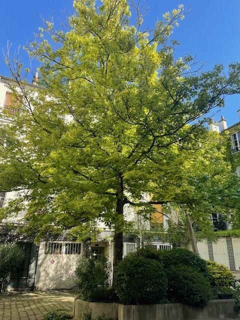 vente appartement Paris quartier Marais-Archives