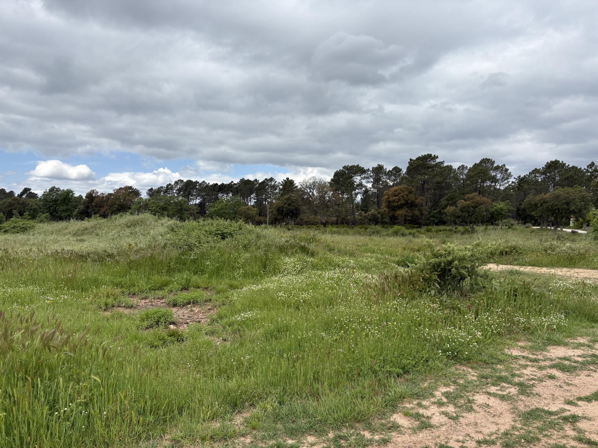 Terrain agricole et naturel