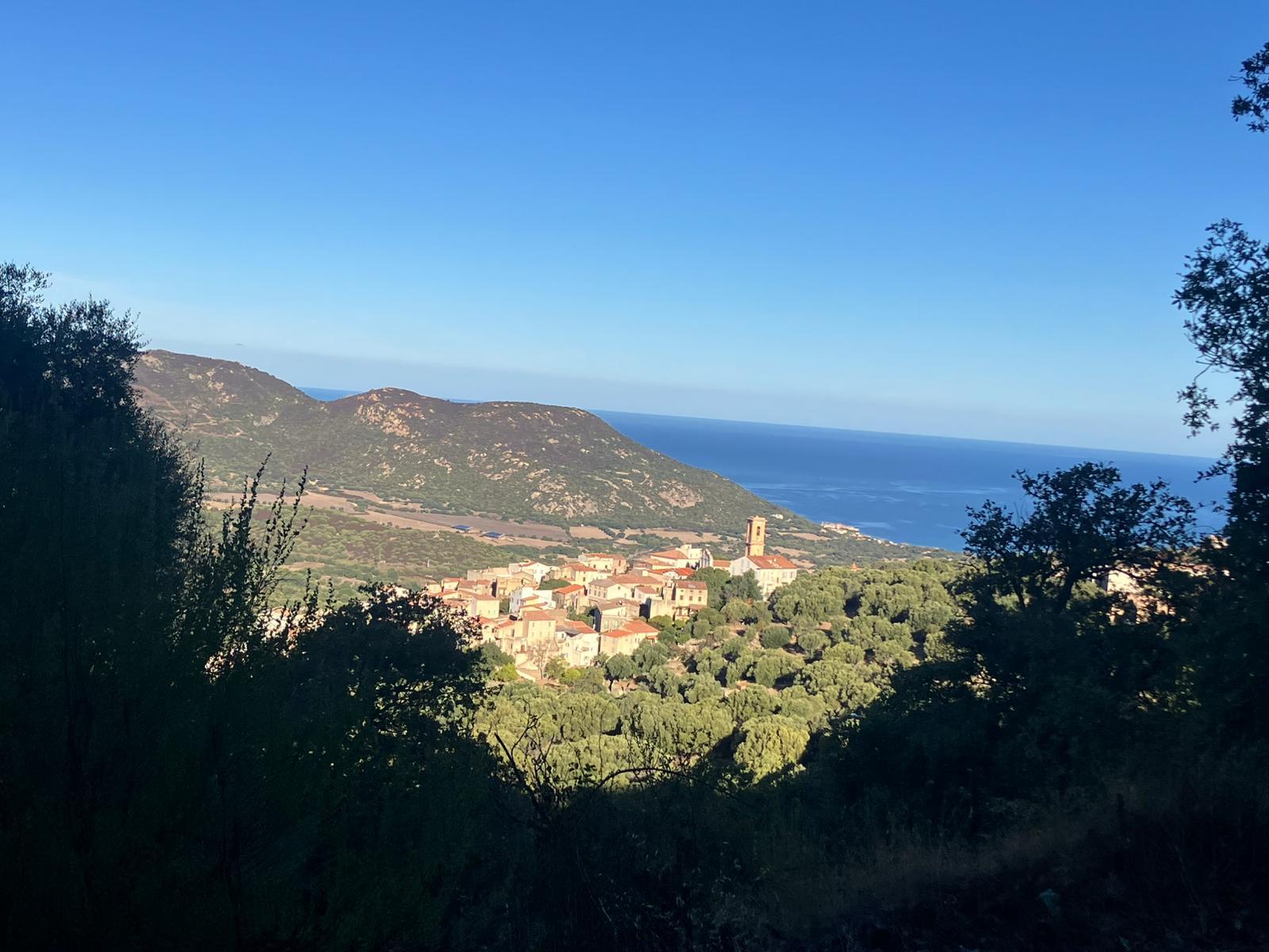 Terrain à vendre - Commune d'AREGNO (20220) - CORSE