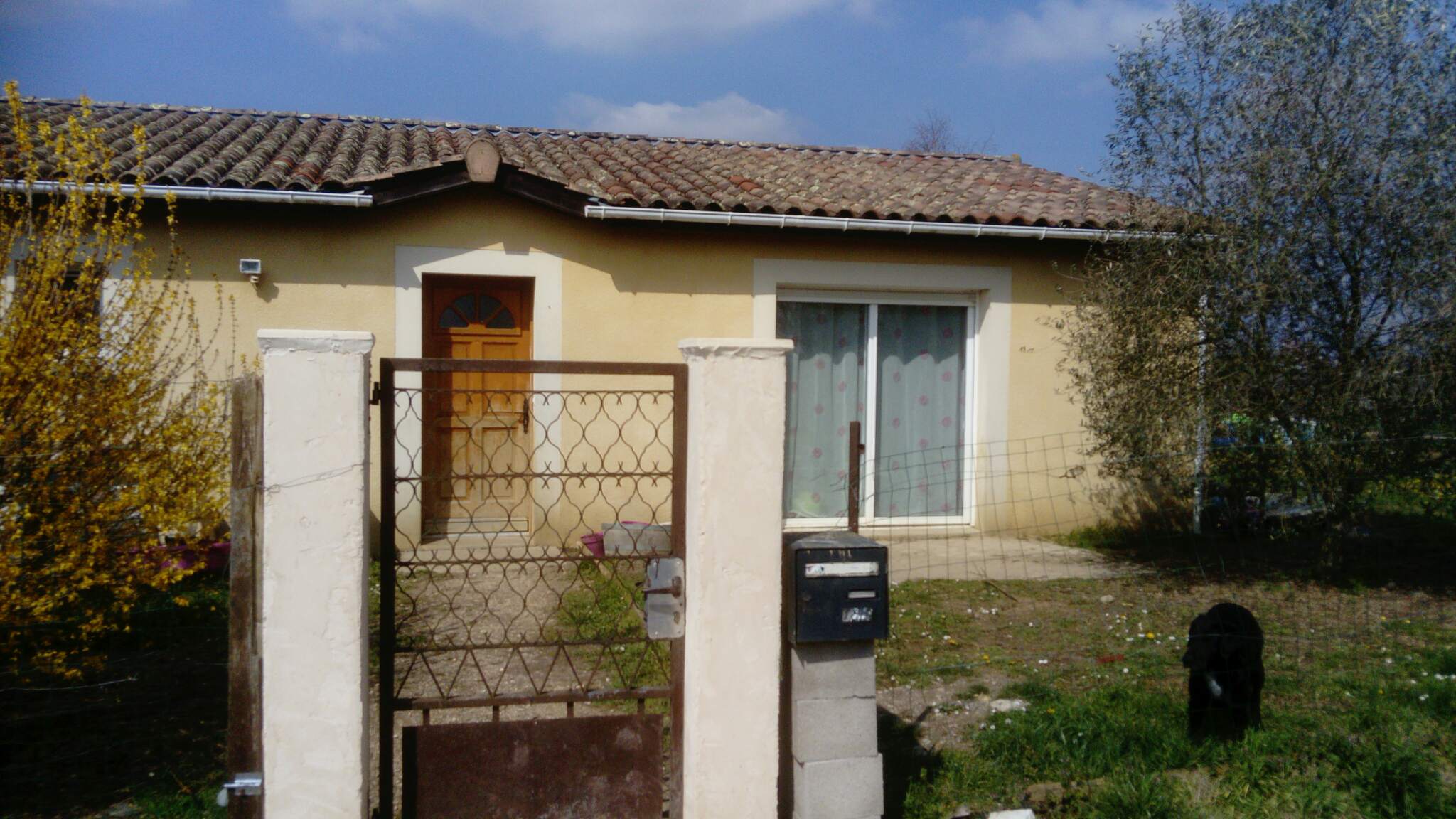 GIRONDE, au bord des vignes  maison d'habitation avec chalet aménagé