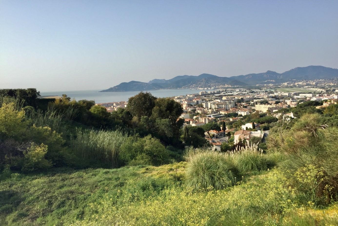 CANNES – RARE – TERRAIN vue mer de 4000 m2 à bâtir avec PC purgé pour Villa et annexes